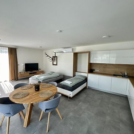 Apartman Usti Hranice  Buitenkant foto