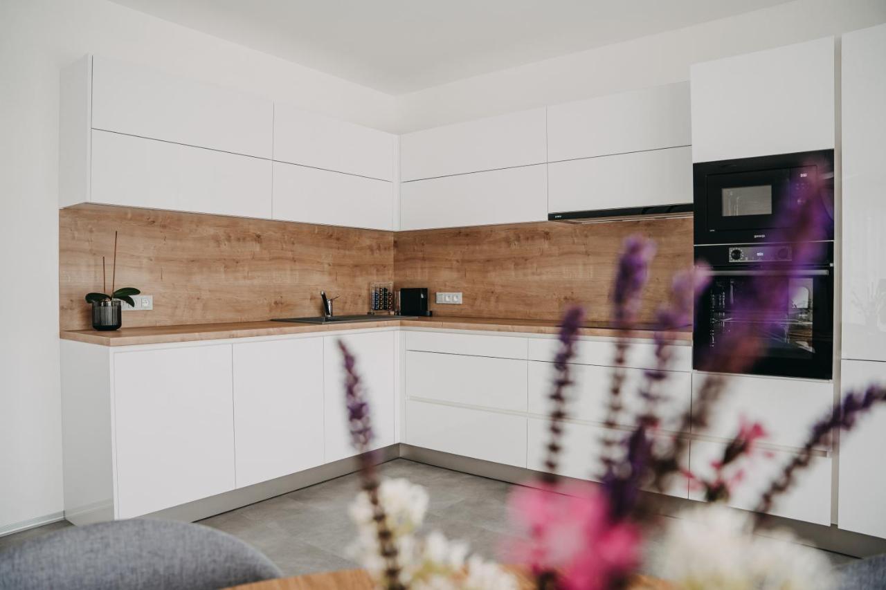 Apartman Usti Hranice  Buitenkant foto