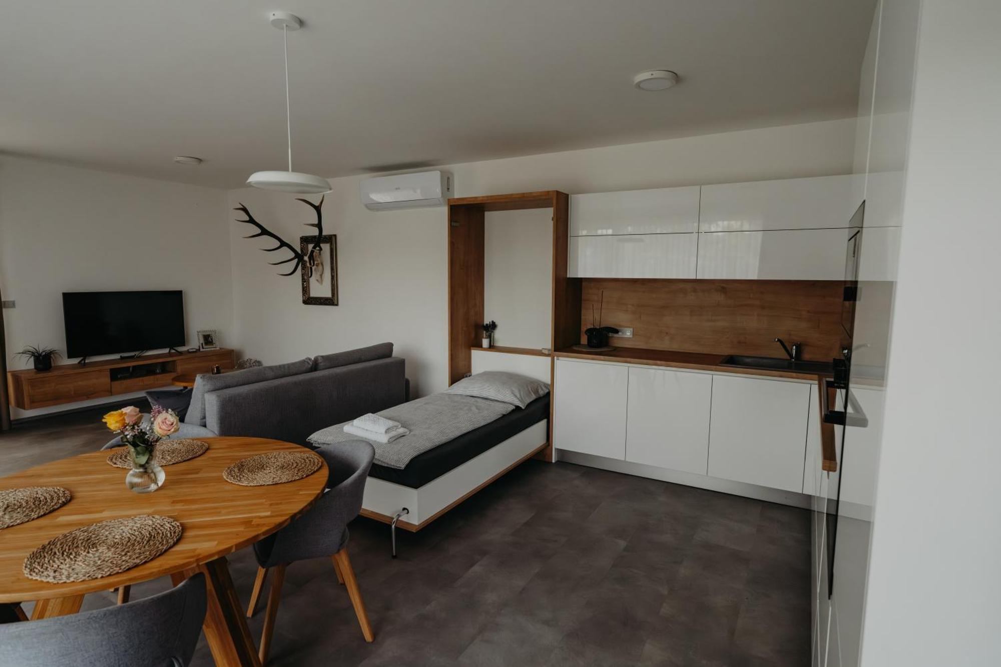 Apartman Usti Hranice  Buitenkant foto